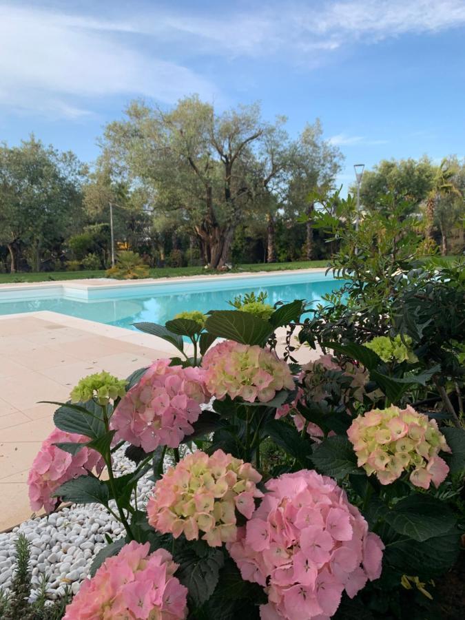 Resort Natura & Relax Сесту Экстерьер фото